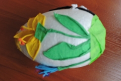 DSCN3994